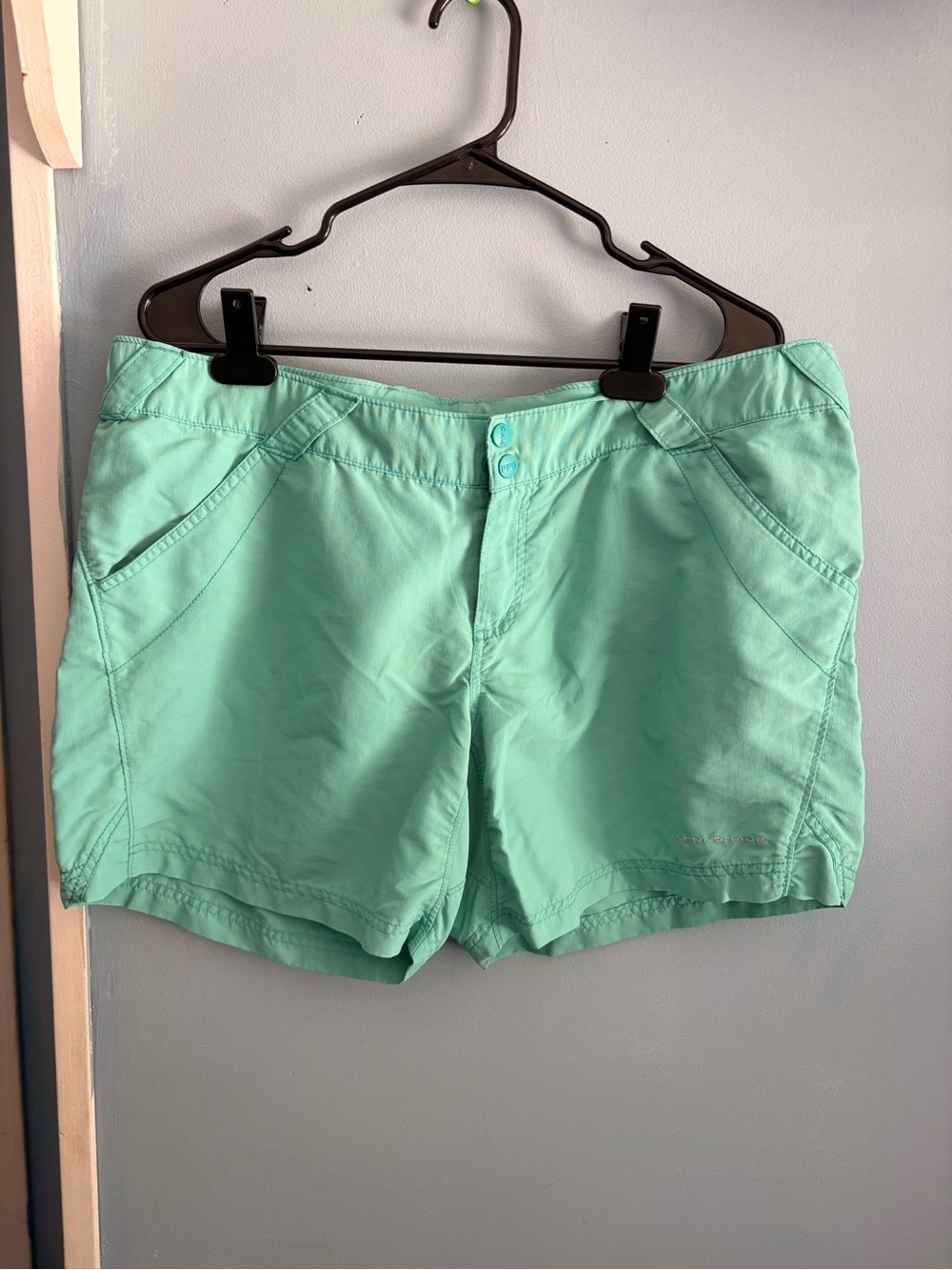 Columbia PFG mint shorts